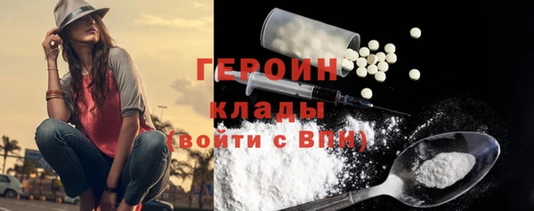 гидра Горняк