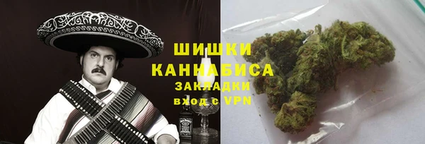 apvp Горнозаводск