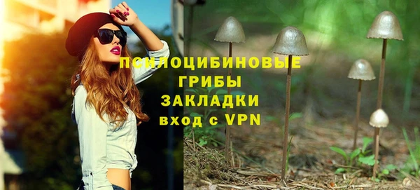 гидра Горняк