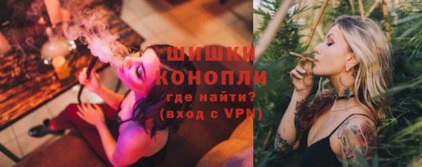 гидра Горняк