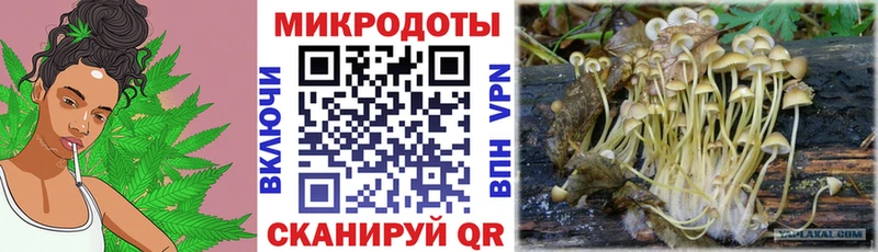 кракен ТОР  Юрюзань  Галлюциногенные грибы мухоморы 
