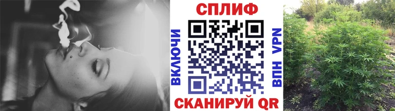 продажа наркотиков  Юрюзань  Бошки Шишки AK-47 